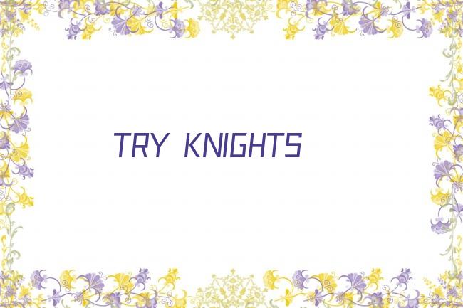 TRY KNIGHTS剧照